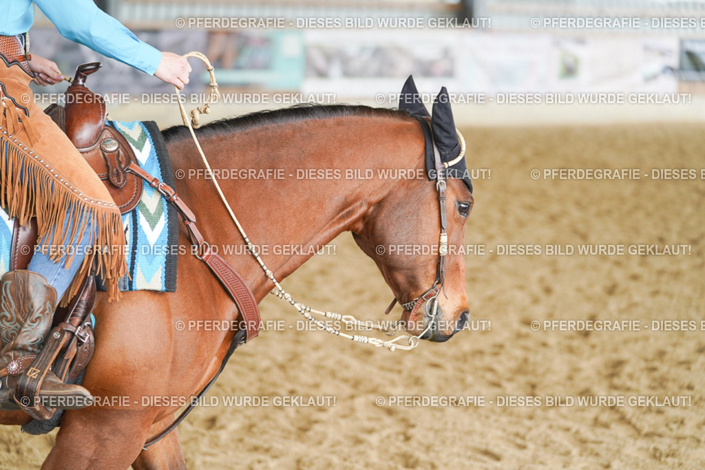 DSC00898 | Pferdegrafie