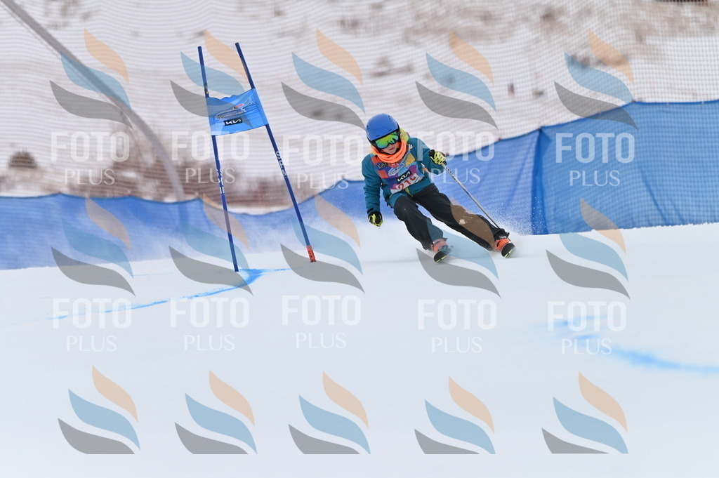 BGV_2391 | holidayphoto