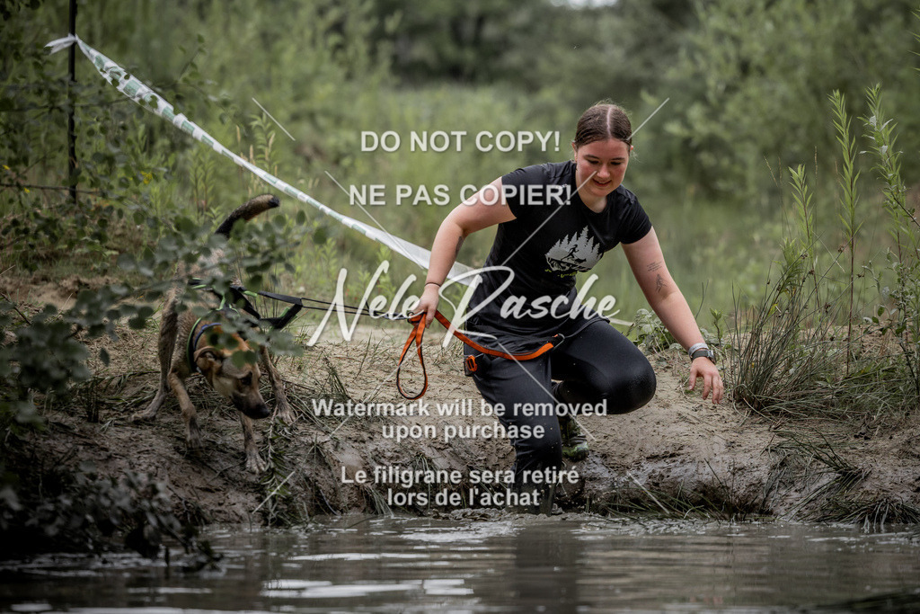 nelerasche_so0800-0930_512 | nelerasche