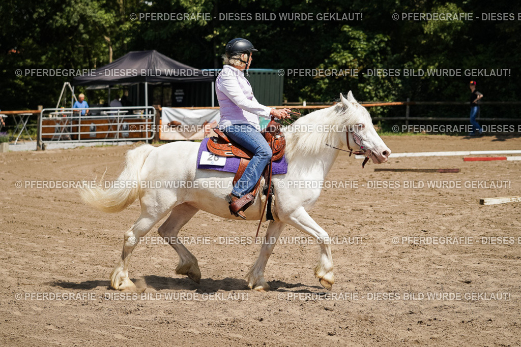 DSC07212 | Pferdegrafie