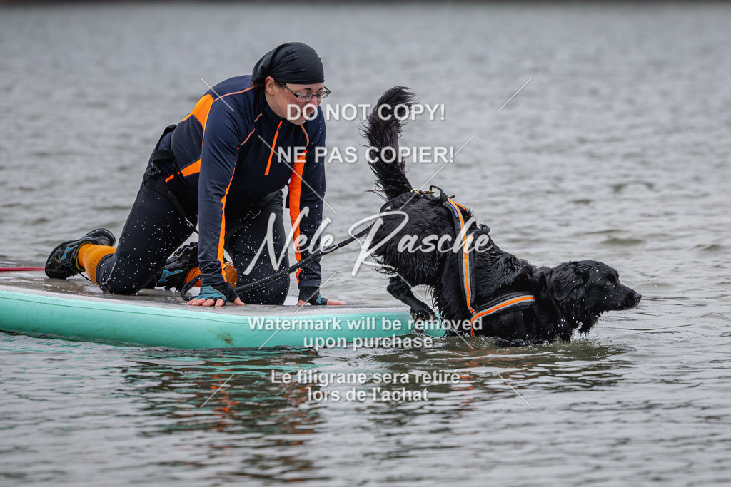 nelerasche_Hulsbeek_Sa1330-1430_428 | nelerasche