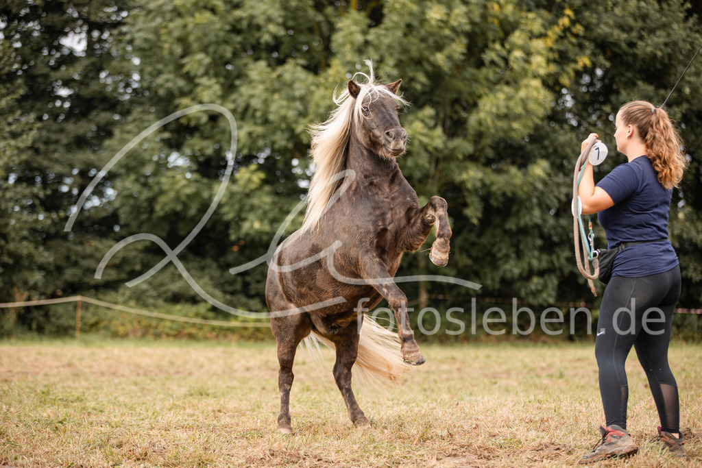 846A3818 | fotosleben - Realisiert mit Pictrs.com