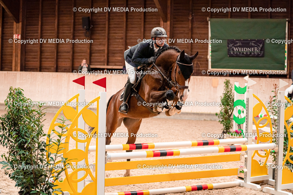 Springen Tag 1-22 | dv-media-shop - Realisiert mit Pictrs.com