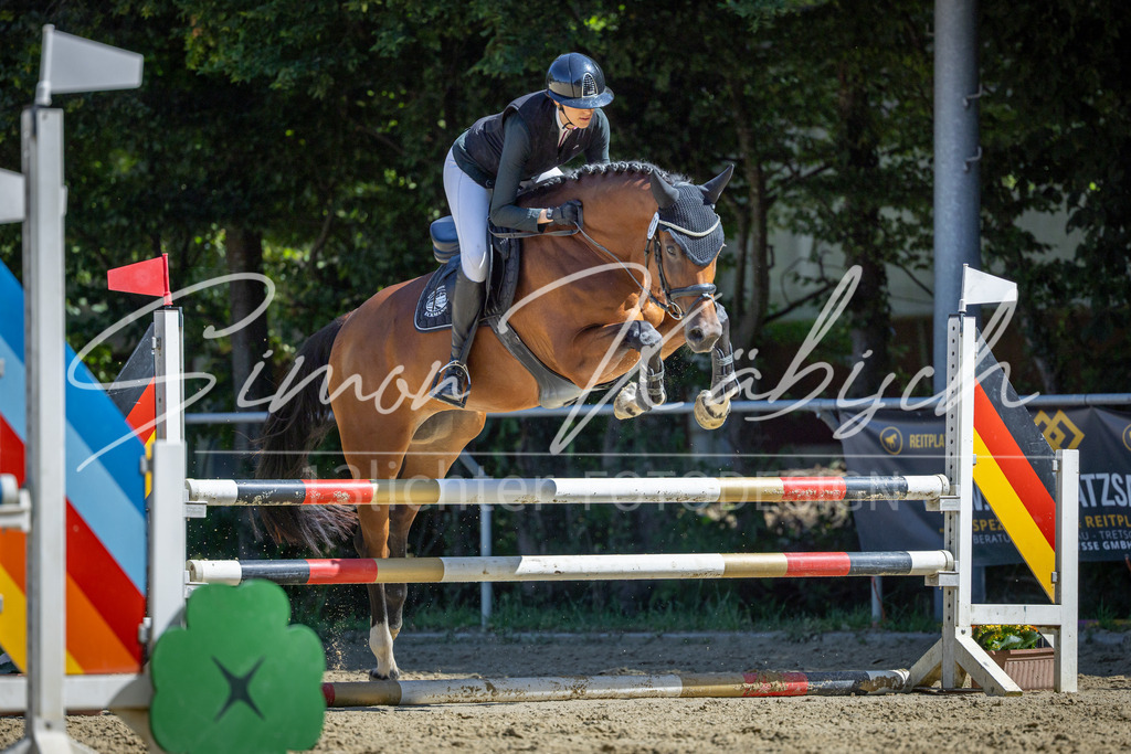 20260704-_3LI7842 | Tierfotografie Pferde, Hunde, Katzen, Haustiere.
Turnierfotografie Reitturniere, Reiten, Springreiten, Dressur in Hanau, dem Main-Kinzig-Kreis und dem Rhein-Main- Gebiet um Frankfurt
