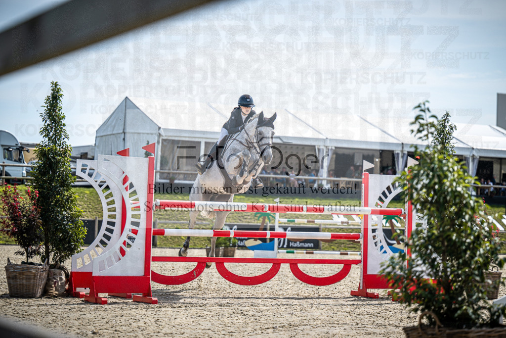 DOS_6863 | Entdecke hochwertige Reitturnierfotos von Foto Oger. Professionell, emotional und authentisch – jetzt Lieblingsmomente im Shop bestellen.Deutschlandweite Turnierfotografie. - Realisiert mit Pictrs.com