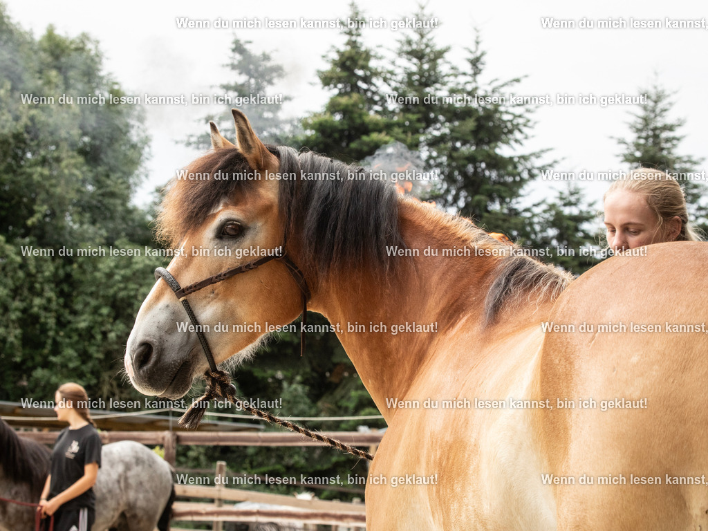 598A6031 | photographylinaismer - Realisiert mit Pictrs.com