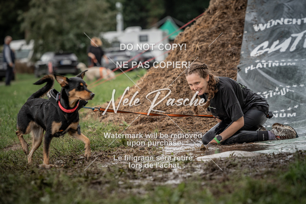 nelerasche_Wingst_Sa1300-1330_301 | nelerasche