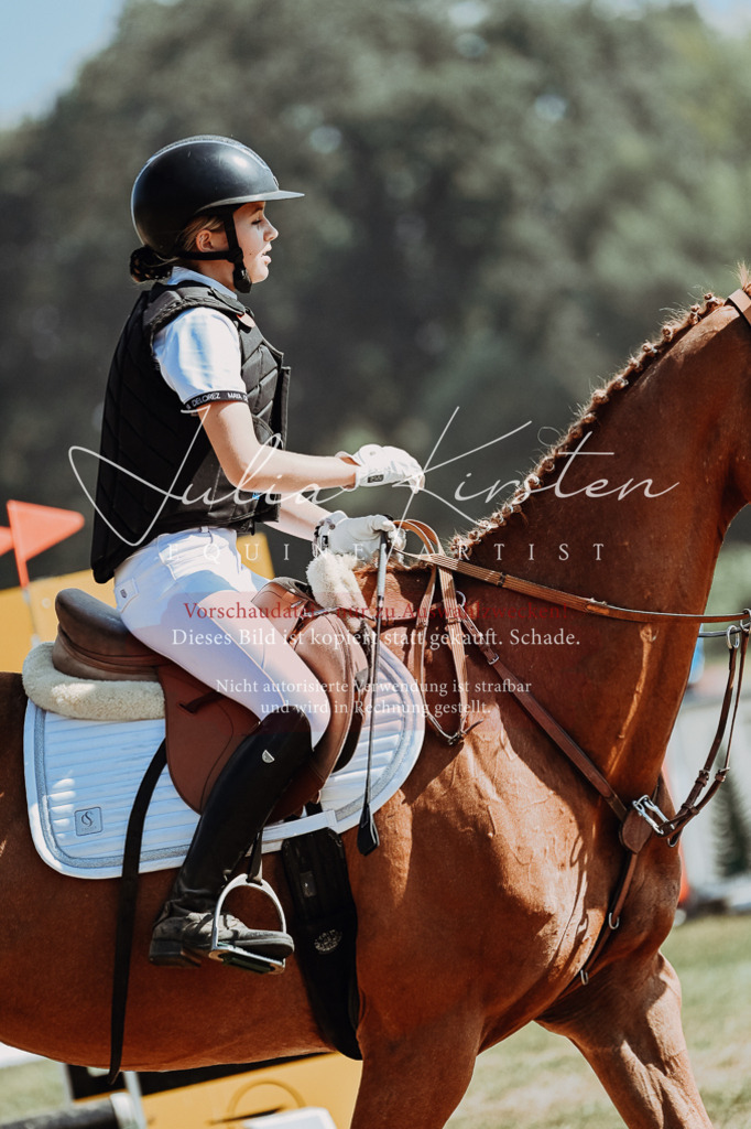 DSC_9536 | Pferde- und Turnierfotografie in Westsachsen. Pferdeportraits, Auftragszeichnungen und intuitive Kunst.