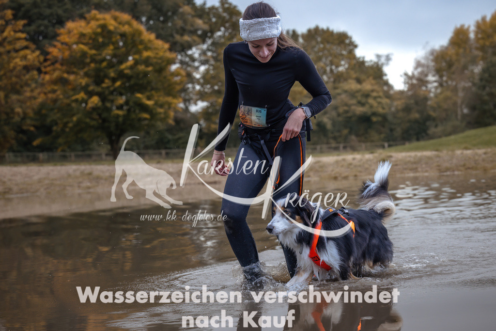 1342_ZZ94651 | kk-dogfotos