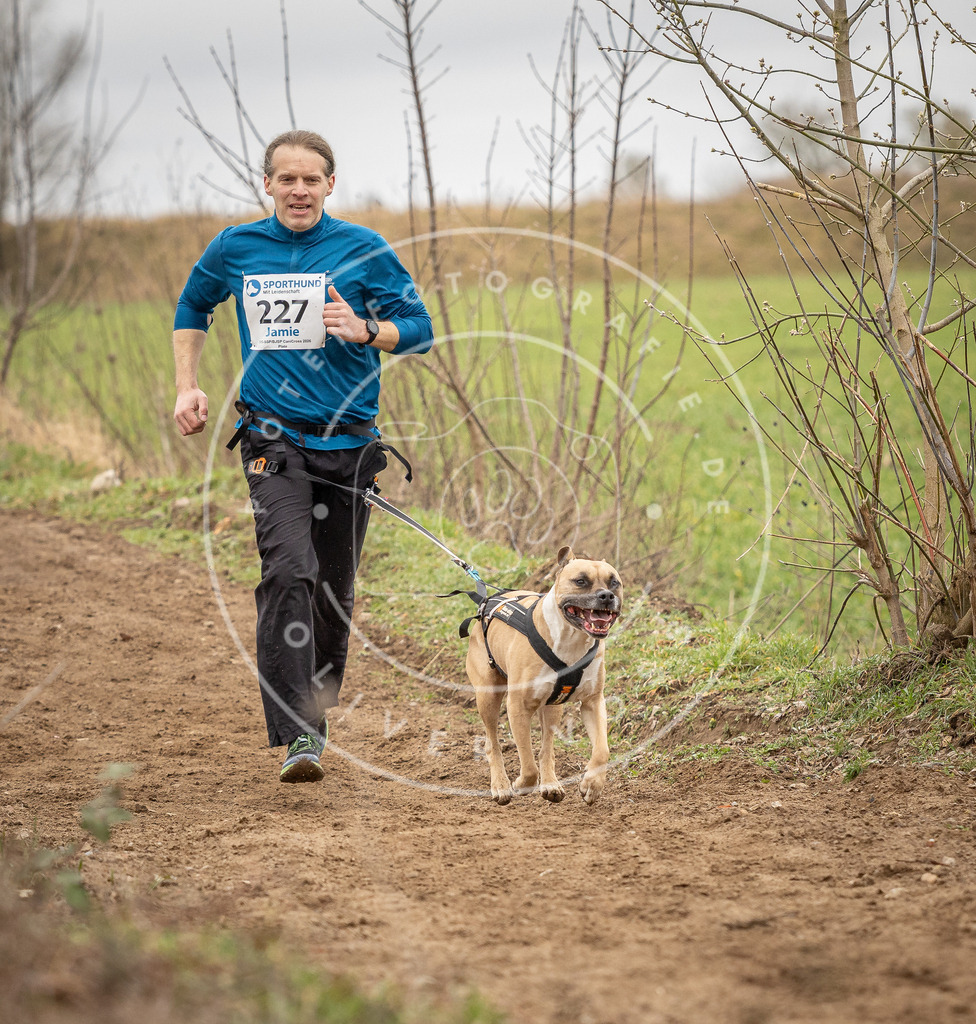 DV3A2688 | Hundefotografie, Tierfotograf, Pfotenfotografie, Fotoshooting Hund, Hunde Portrait, Hundesport, Hundeportraits, Heideshooting, Hunde, Sportfotograf, Hundefotograf, Turnierhundsport, THS,  - Realisiert mit Pictrs.com