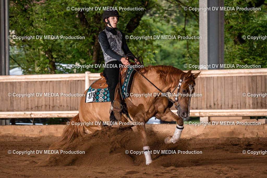 Erbach Tag 3-806 | dv-media-shop - Realisiert mit Pictrs.com