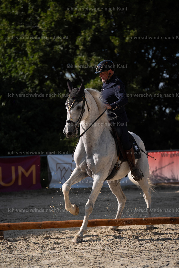 WS_SP_49_Stoibphotography_SO11894 | working equitationturnier fotograf videograf stoibphotography marixx film working equitation deutschland reitsport turnierfotografie eventfotografie equestrian events