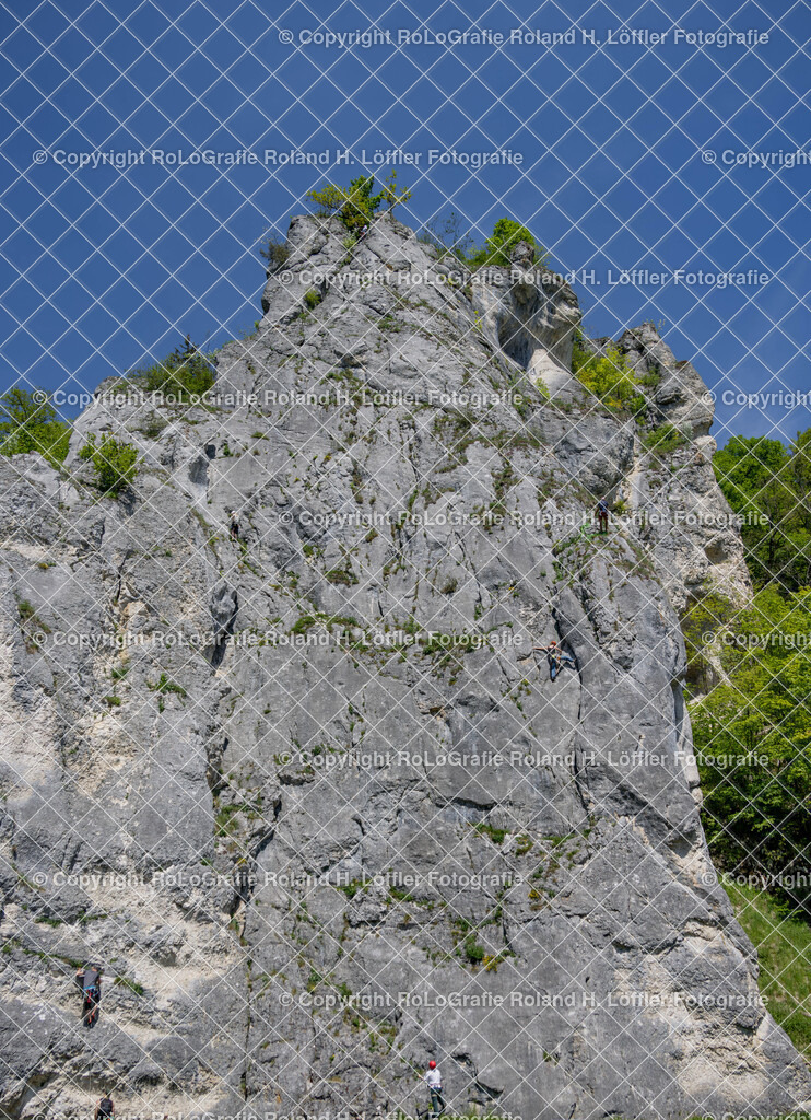 20240511_Fototag-Donautal-41 | IPTC Infos - Realisiert mit Pictrs.com