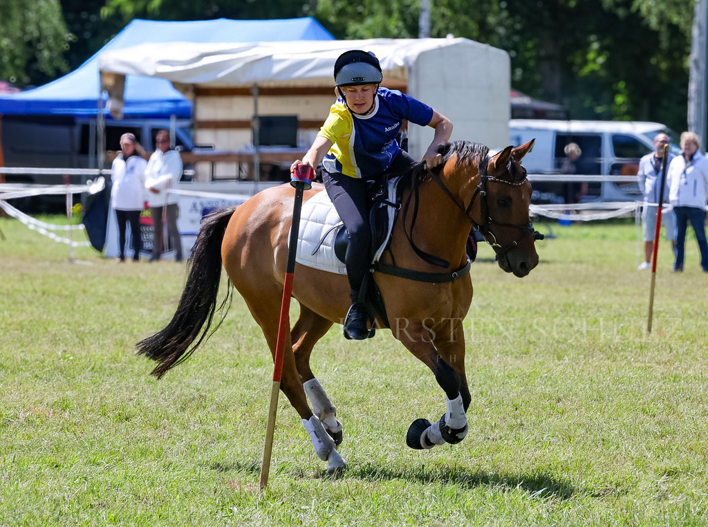 IMG_1603 | Reitsport Reiten