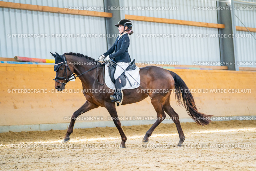 DSC07300 | Pferdegrafie