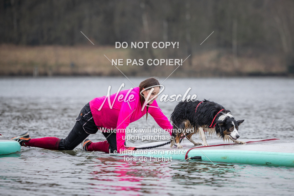 nelerasche_Hulsbeek_Sa1515-1600_545 | nelerasche
