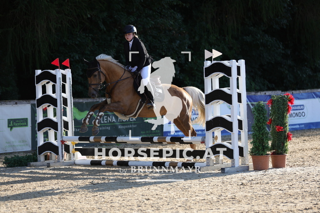 0P6A6516 | Willkommen bei Brunnmayr - Design & Fotografie – Ihrem Spezialisten für Reitturniere und Pferdeveranstaltungen in Oberösterreich, Salzburg und Bayern! Seit über 17 Jahren sind wir leidenschaftlich dabei.