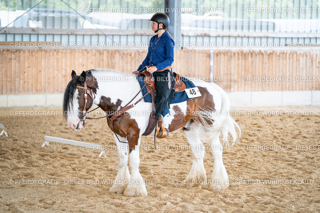 DSC02975 | Pferdegrafie