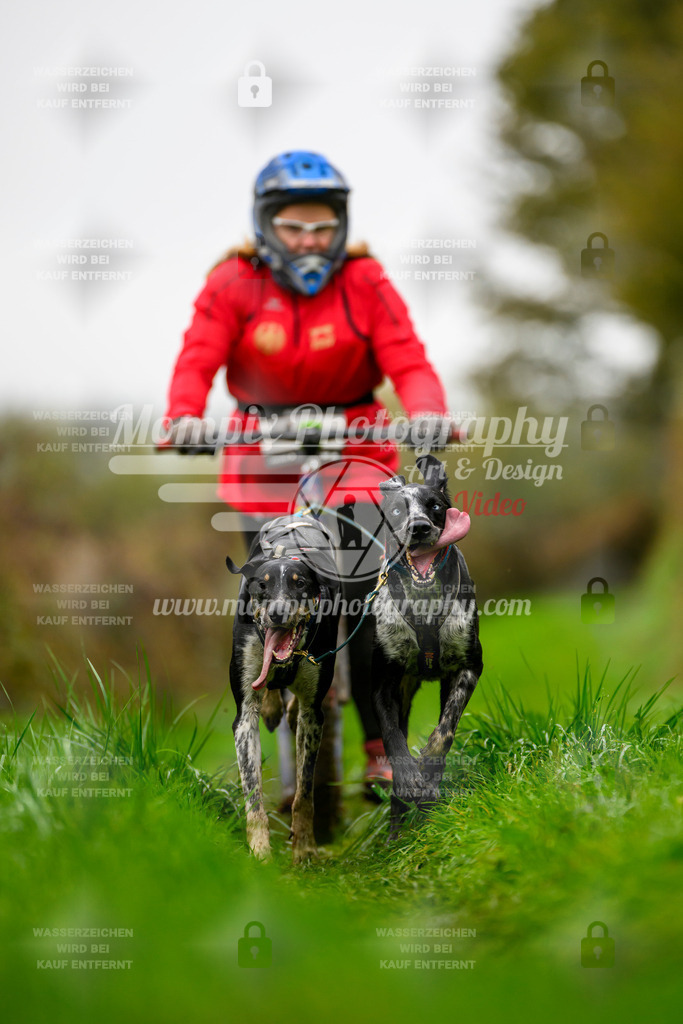MompixPhotography_20TSB_E8_DS2-24 | PayLife