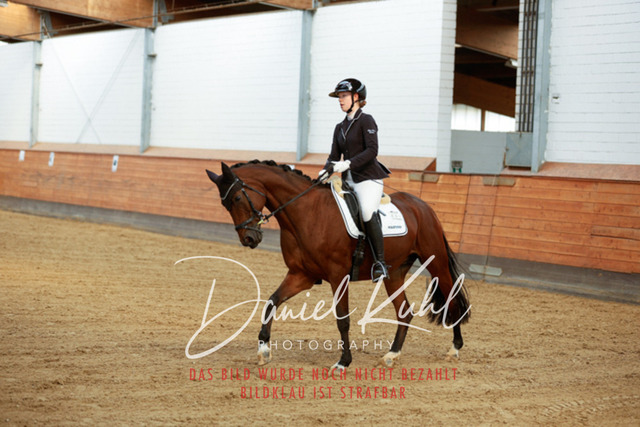 _62_5225 | Turniersportfotografie; Pferdefotografie; Dressurfotografie