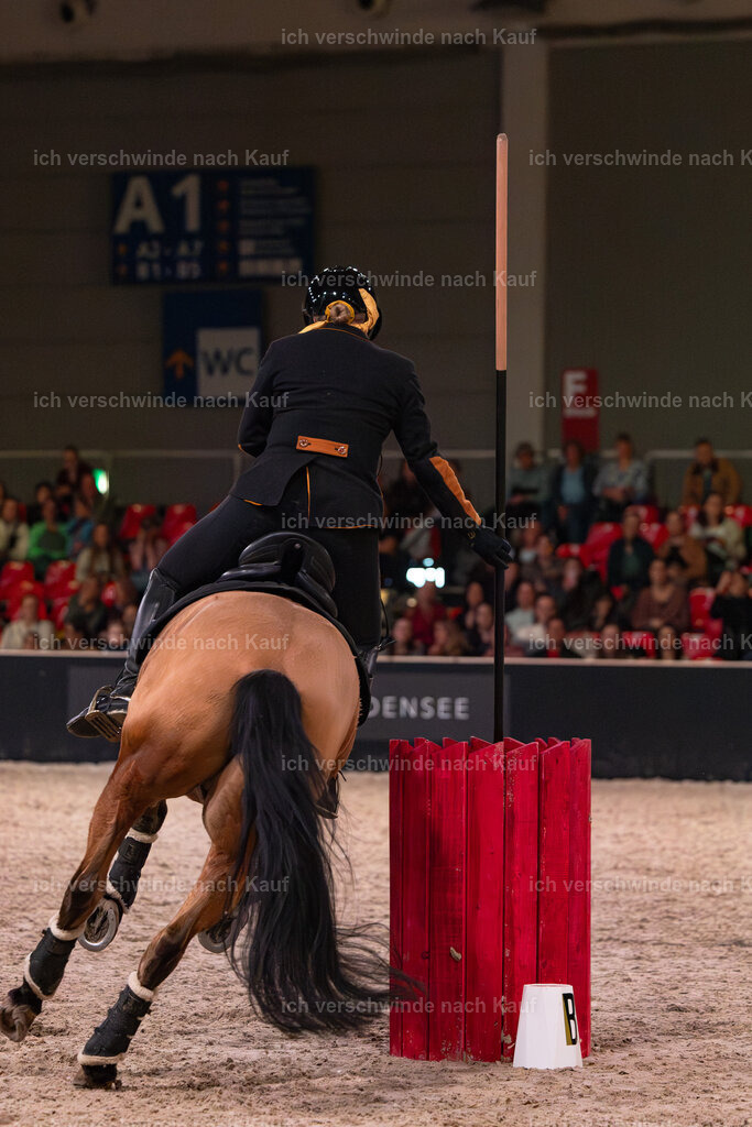 JoseraCup-226 | working equitationturnier fotograf videograf stoibphotography marixx film working equitation deutschland reitsport turnierfotografie eventfotografie equestrian events