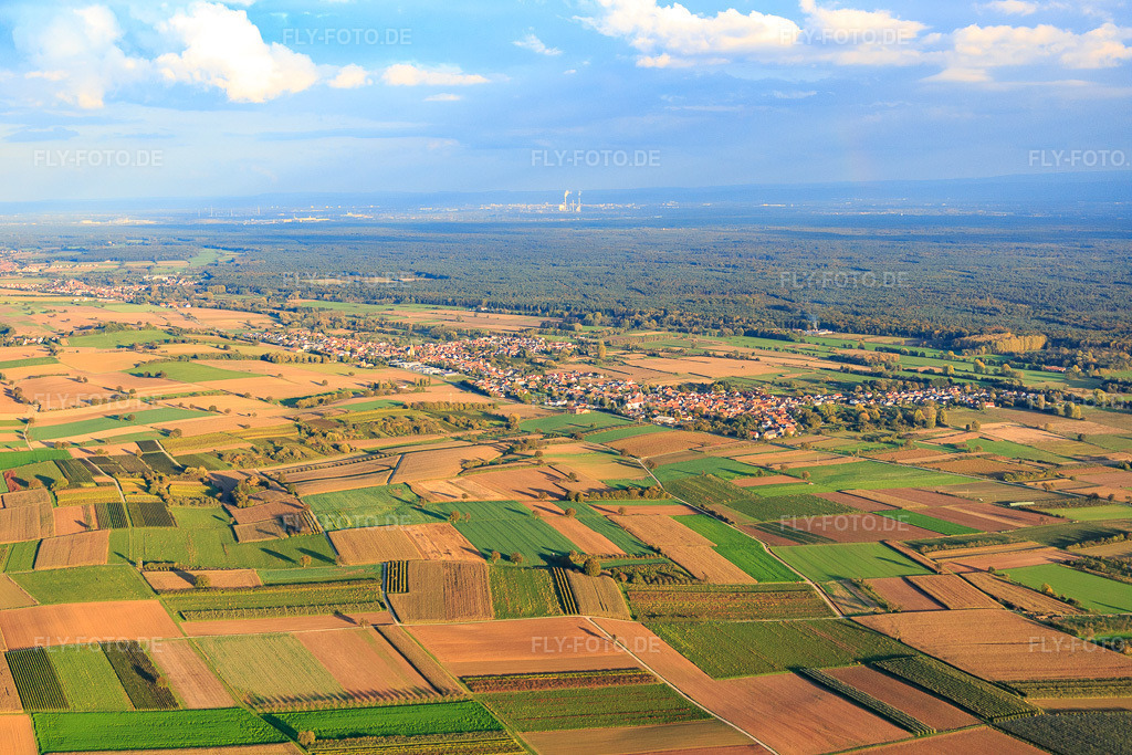 Luftbild: Dorfansicht zwischen herbstlichen Feldern und Wiesen von Nordwesten in Steinfeld im Bundesland Rheinland-Pfalz in Deutschland. Foto: IMG_074675.jpg vom 14.10.2014 durch Werner Riehm/FLY-FOTO.de