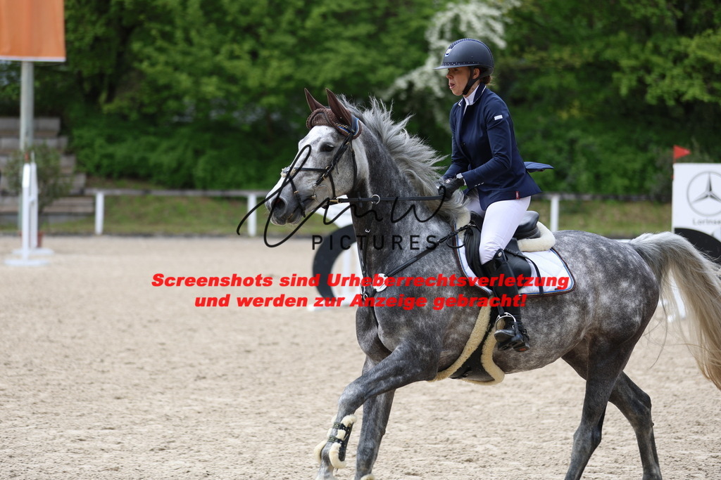 A40A2293 | lmwpictures - Realisiert mit Pictrs.com