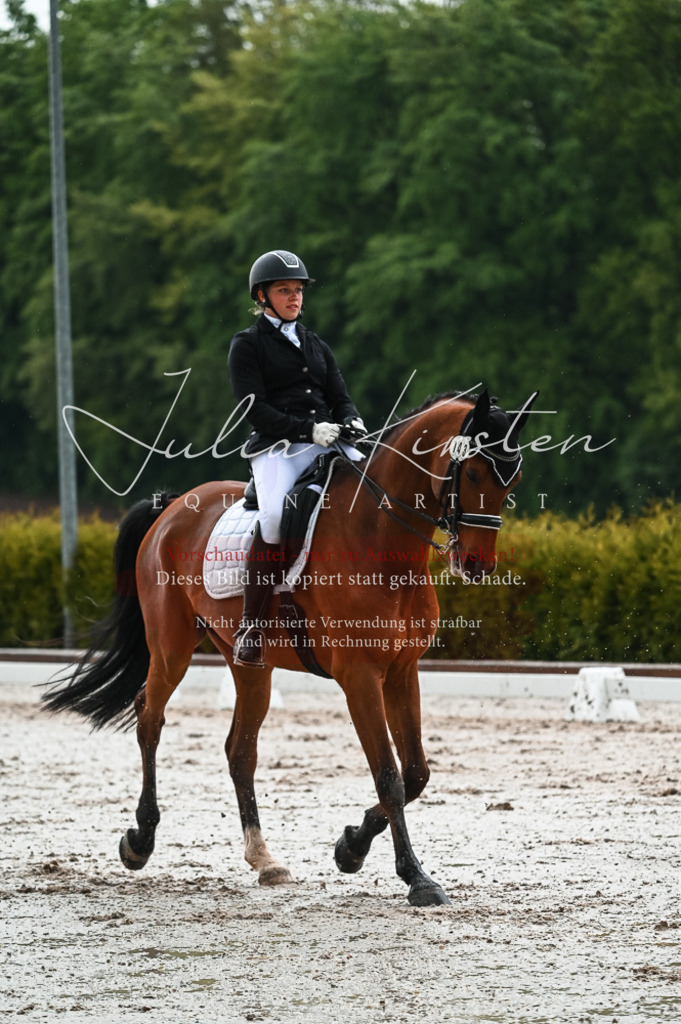 DSC_4373 | Pferde- und Turnierfotografie in Westsachsen. Pferdeportraits, Auftragszeichnungen und intuitive Kunst.