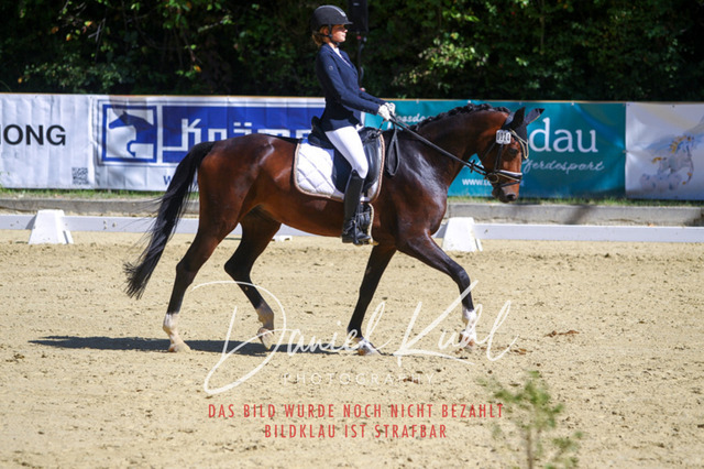 DKP42060 | Turniersportfotografie; Pferdefotografie; Dressurfotografie