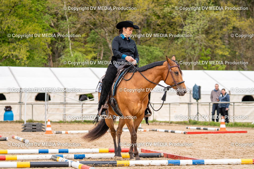 Heiligenwald Tag 1-822 | dv-media-shop - Realisiert mit Pictrs.com