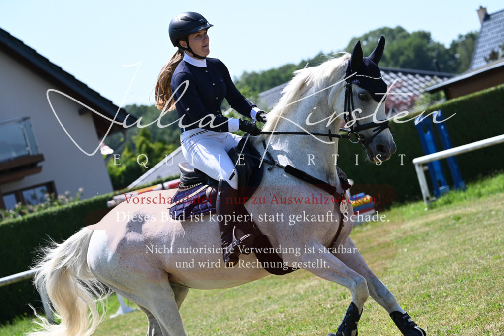 DSC_0573 | Pferde- und Turnierfotografie in Westsachsen. Pferdeportraits, Auftragszeichnungen und intuitive Kunst.