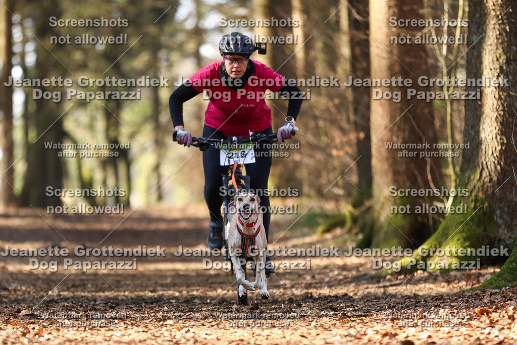 Dog Paparazzi - VCC26-1000 | Dog Paparazzi Jeanette Grottendiek Fotografie & Videografie - Realisiert mit Pictrs.com