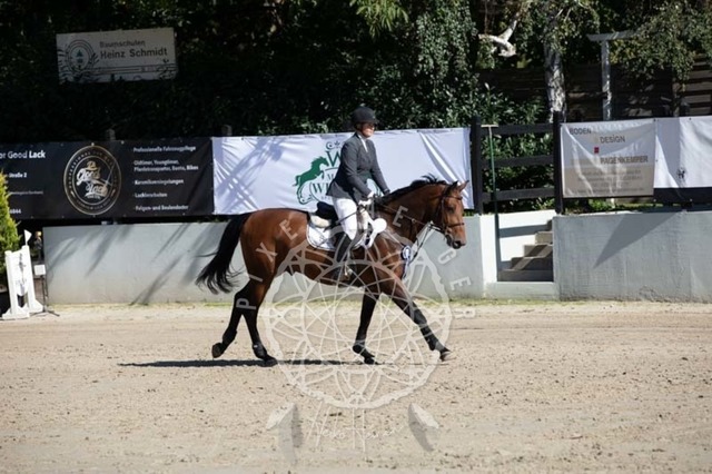 2B4A0391 | pixelfaenger - Realisiert mit Pictrs.com