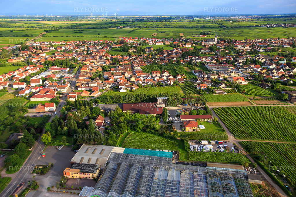 Luftbild: Ortsansicht aus Norden mit Gartencenter Edesheim GmbH in Edesheim im Bundesland Rheinland-Pfalz in Deutschland. Foto: IMG_090136.jpg vom 26.06.2016 durch Werner Riehm/FLY-FOTO.deFrühling gibt es bei uns! Bei Ihrem GCE !