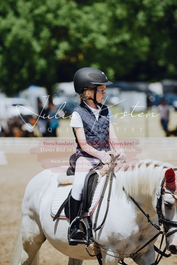 DSC_2405 | Pferde- und Turnierfotografie in Westsachsen. Pferdeportraits, Auftragszeichnungen und intuitive Kunst.