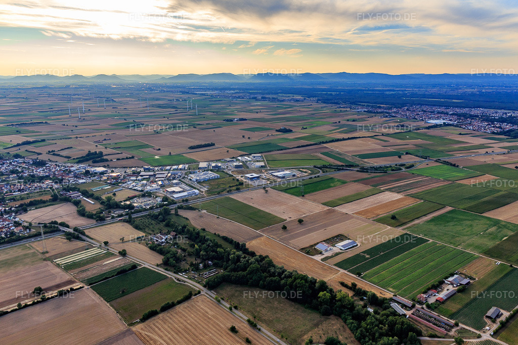 Luftbild: Gewerbegebiet Nordring in Rülzheim im Bundesland Rheinland-Pfalz in Deutschland. Foto: IMG_109319.jpg vom 30.07.2018 durch Werner Riehm/FLY-FOTO.de