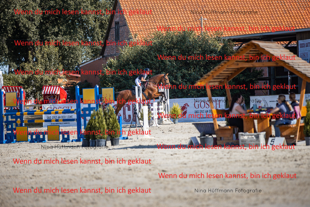 BK1A7335 | Turnierbilder Turnierfotos Nina Hüffmann Turnierfotografie Pferdefotografie Tierzeichnung Haustierzeichnung Pferdezeichnung Hundezeichnung Videograf  - Realisiert mit Pictrs.com