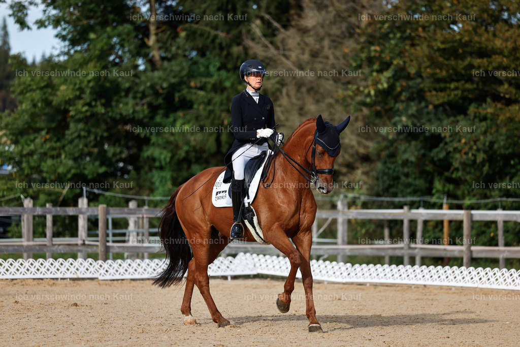 13-220-S___ -StoibPH-6957 | working equitationturnier fotograf videograf stoibphotography marixx film working equitation deutschland reitsport turnierfotografie eventfotografie equestrian events