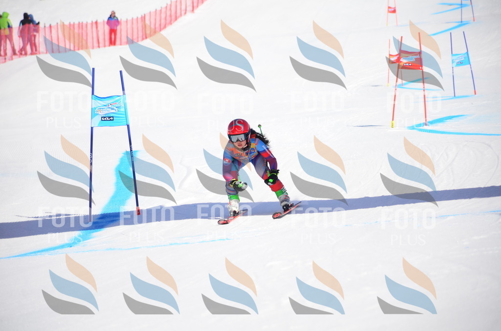 VR4_9460 | holidayphoto