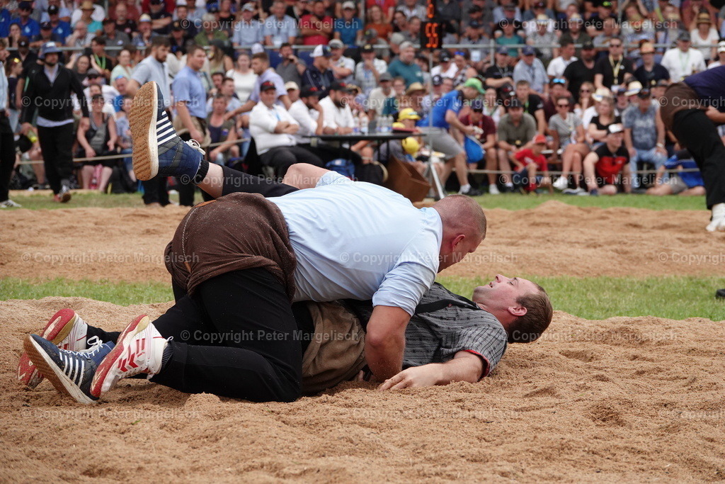 DSC01264 | Schwingen - Realisiert mit Pictrs.com