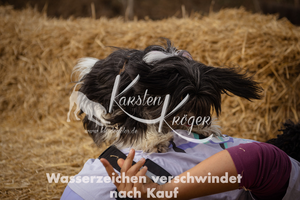1146_ZZ95530 | kk-dogfotos
