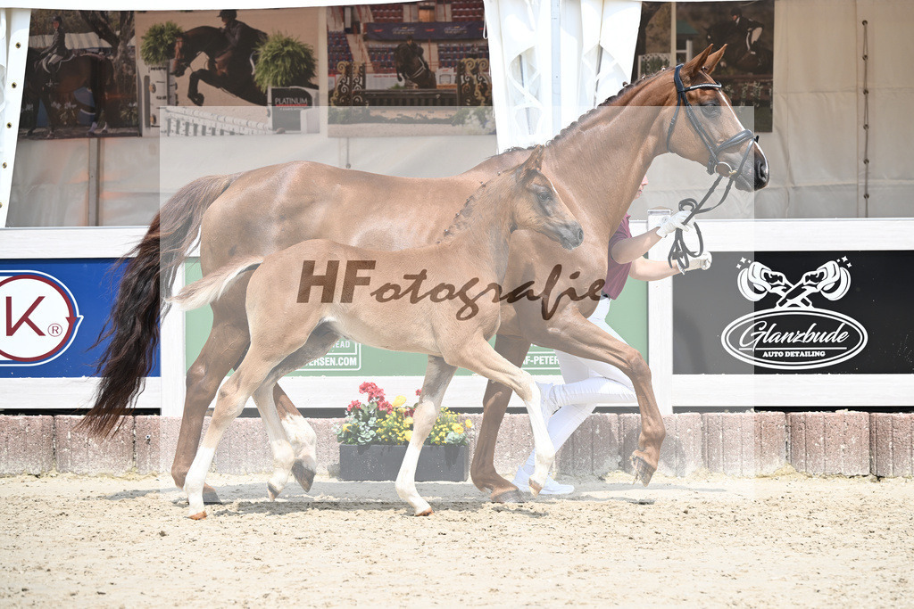 Don Olympic x Benetton Dream_HF_Groll_12250651 | hf-fotografie - Realisiert mit Pictrs.com