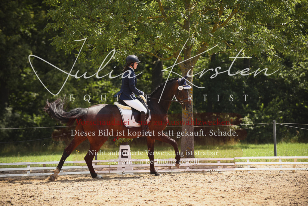 DSC_0988 | Pferde- und Turnierfotografie in Westsachsen. Pferdeportraits, Auftragszeichnungen und intuitive Kunst.