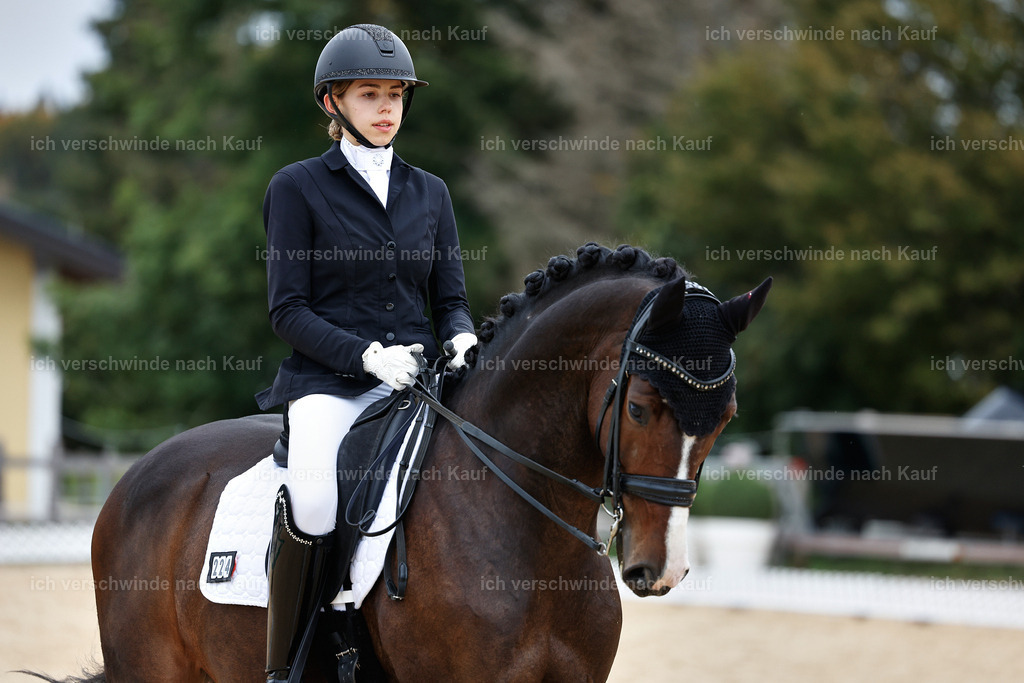 3-224-Dressur M_-StoibPH-2512 | working equitationturnier fotograf videograf stoibphotography marixx film working equitation deutschland reitsport turnierfotografie eventfotografie equestrian events