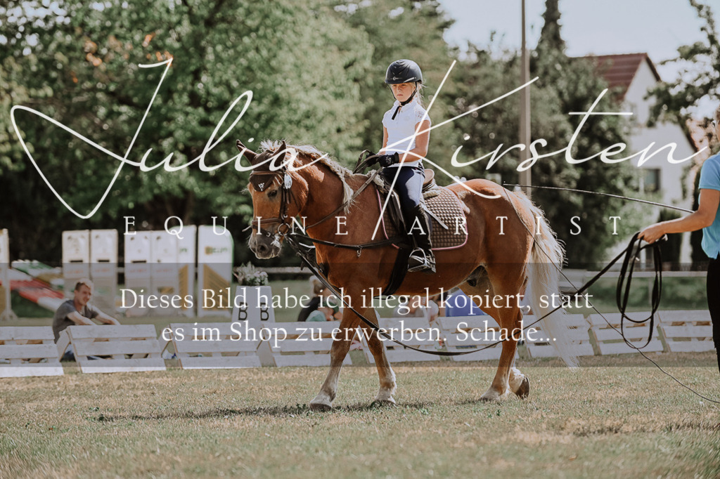 DSC_7790 | Pferde- und Turnierfotografie in Westsachsen. Pferdeportraits, Auftragszeichnungen und intuitive Kunst.