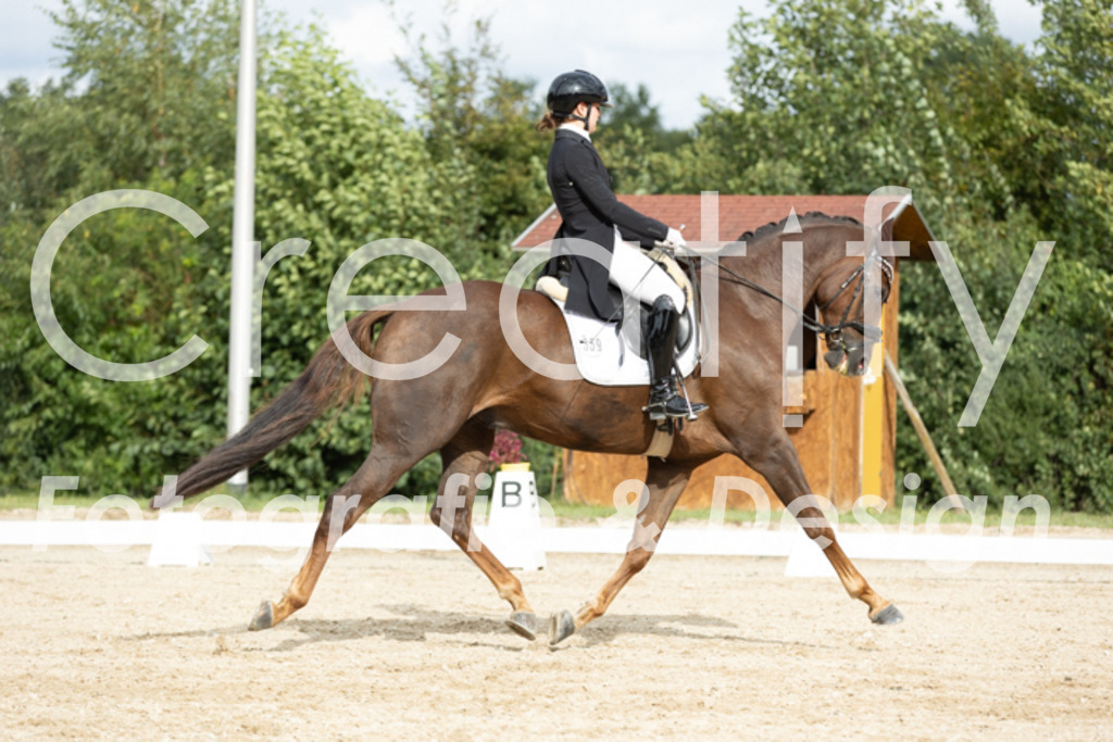 IMG_6910 | Creatify Fotografie