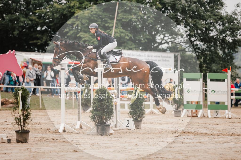 3I6A2131 | Stimmungsvolle Portraits und Reitsportfotografie im Ruhrgebiet und im Münsterland.

Pferdefotografie, Hundefotografie, Tierfotografie, Reportagen, Portraits von Tier und Mensch, Turnierfotografie in Bochum, Recklinghausen, Marl, Haltern am See, Dülmen.. - Realisiert mit Pictrs.com