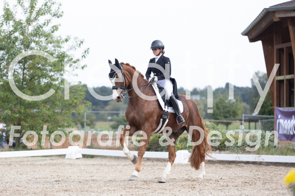 IMG_4811 | Creatify Fotografie