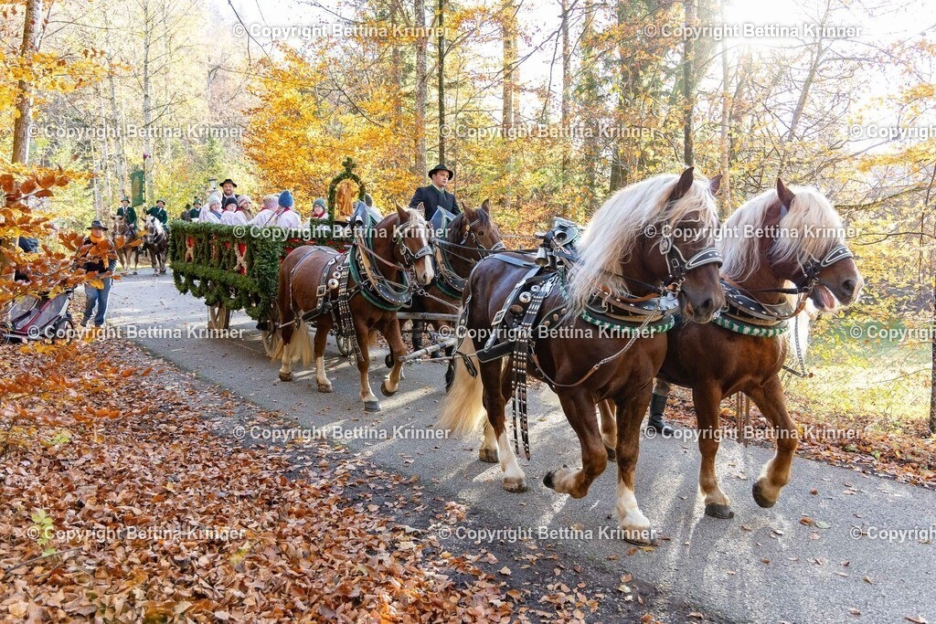 LL24-282 | foto-bettina-krinner - Realisiert mit Pictrs.com