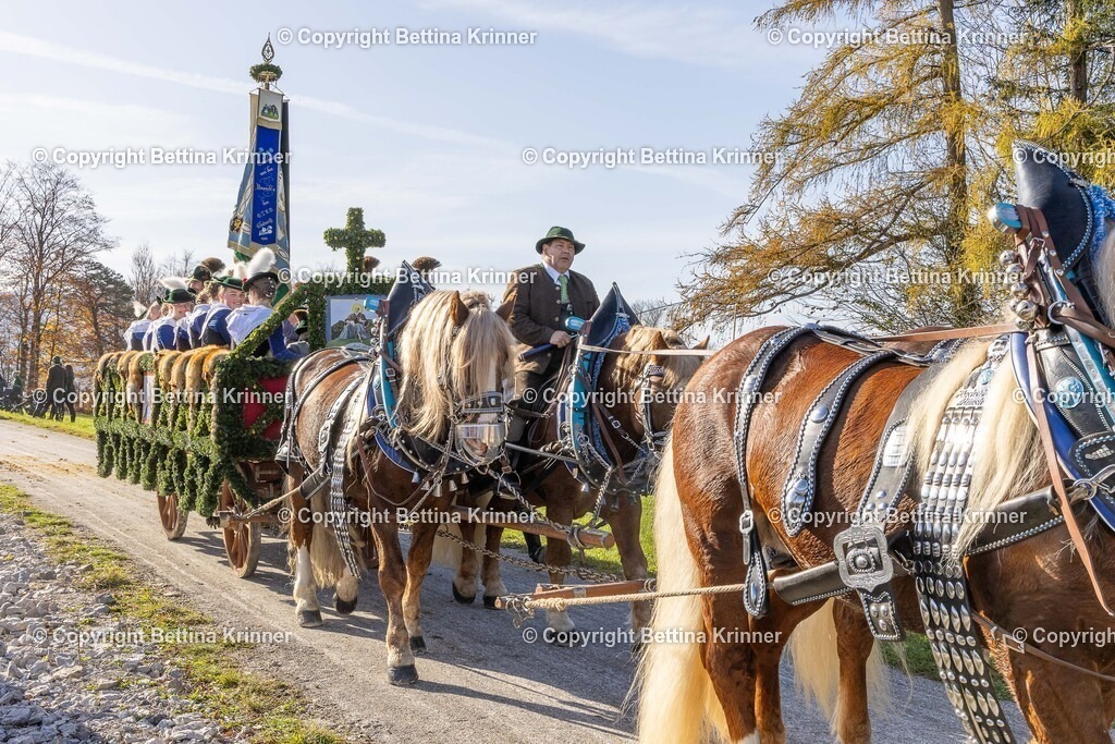 LBT24-1531 | foto-bettina-krinner - Realisiert mit Pictrs.com